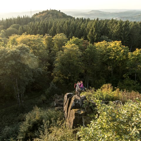 Ausblick von der Dietzenley, © Eifel Tourismus GmbH, Dominik Ketz Ausblick von der Dietzenley, © Eifel Tourismus GmbH, Dominik Ketz