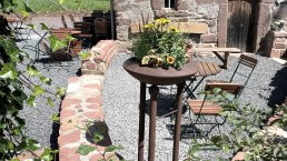 Sommer Blumen, © Susanna Schoos Sommer Blumen, © Susanna Schoos