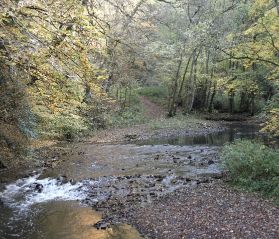Grafschaft-Pfad: Wanderung an der Lieser, © Eifel Tourismus GmbH Grafschaft-Pfad: Wanderung an der Lieser, © Eifel Tourismus GmbH