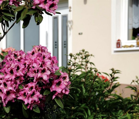 Frühlingsgruß Frühlingsgruß