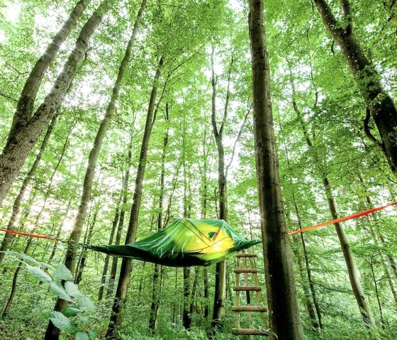 Eifel Adventures Baumzelt (3), © EifelAdventures, Saxler Eifel Adventures Baumzelt (3), © EifelAdventures, Saxler