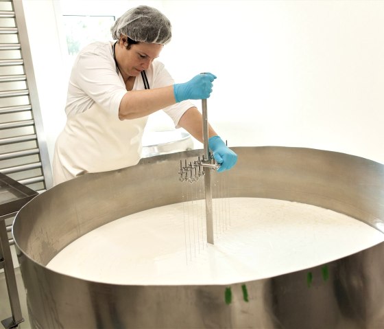 Vulkanhof Ziegenkäse Käsebruch schneiden Vulkanhof Ziegenkäse Käsebruch schneiden