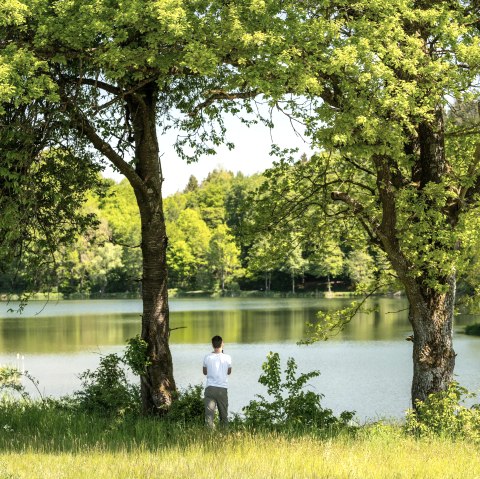 Holzmaar, © GesundLand Vulkaneifel GmbH Holzmaar, © GesundLand Vulkaneifel GmbH