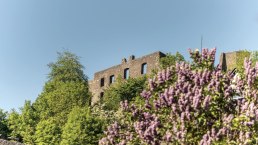 Blick auf die Burgruine Ulmen, © GesundLand Vulkaneifel/D. Ketz Blick auf die Burgruine Ulmen, © GesundLand Vulkaneifel/D. Ketz