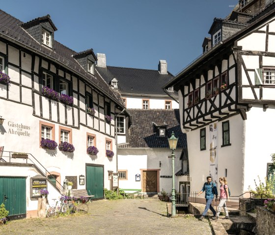 Ahrquelle Blankenheim, © Eifel Tourismus GmbH, Dominik Ketz Ahrquelle Blankenheim, © Eifel Tourismus GmbH, Dominik Ketz