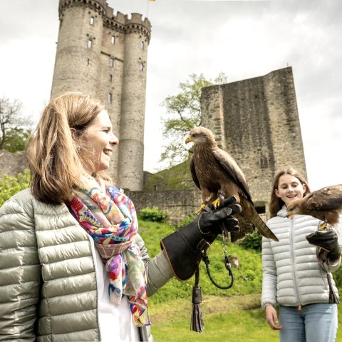 Greifvögel ganz nah, Adler- und Wolfspark, © Eifel Tourismus GmbH, Dominik Ketz Greifvögel ganz nah, Adler- und Wolfspark, © Eifel Tourismus GmbH, Dominik Ketz