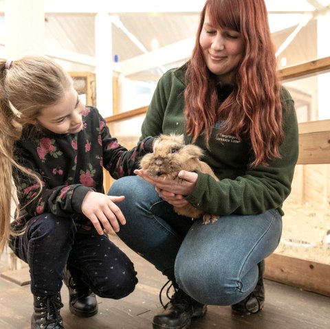 Tiere streicheln im Wild- und Erlebnispark Daun, © Eifel Tourismus GmbH, D. Ketz Tiere streicheln im Wild- und Erlebnispark Daun, © Eifel Tourismus GmbH, D. Ketz