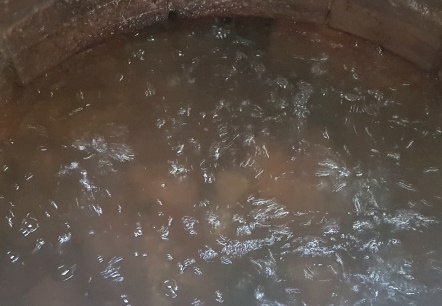 Blubbernde Victoriaquelle, © Tourist Information Wittlich Stadt & Land Blubbernde Victoriaquelle, © Tourist Information Wittlich Stadt & Land