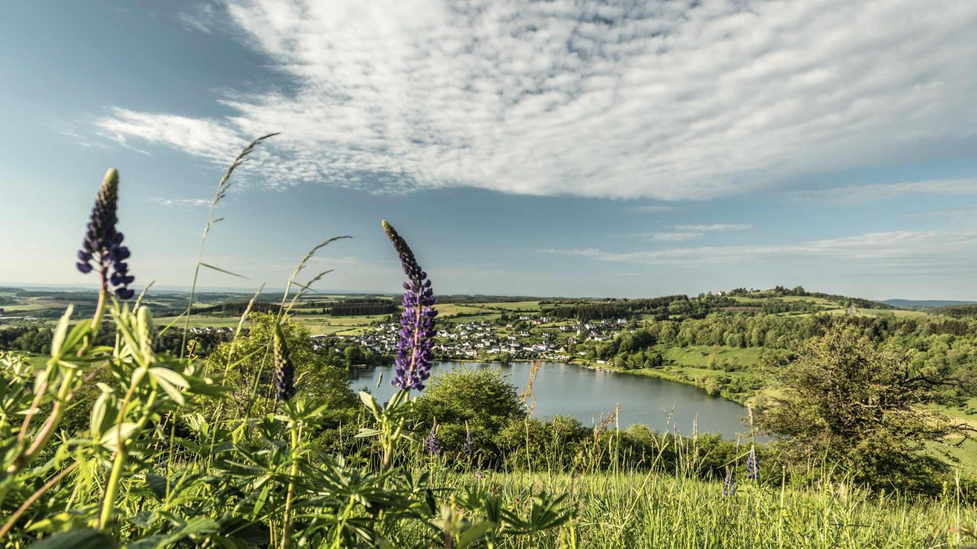 Schalkenmehrener Maar am Eifelsteig, © Eifel Tourismus GmbH, D. Ketz Schalkenmehrener Maar am Eifelsteig, © Eifel Tourismus GmbH, D. Ketz