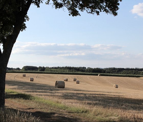 Drum Herum Drum Herum