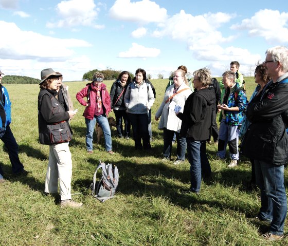 Gruppe auf Eifelkrimi-Wanderweg, © Nebel Gruppe auf Eifelkrimi-Wanderweg, © Nebel