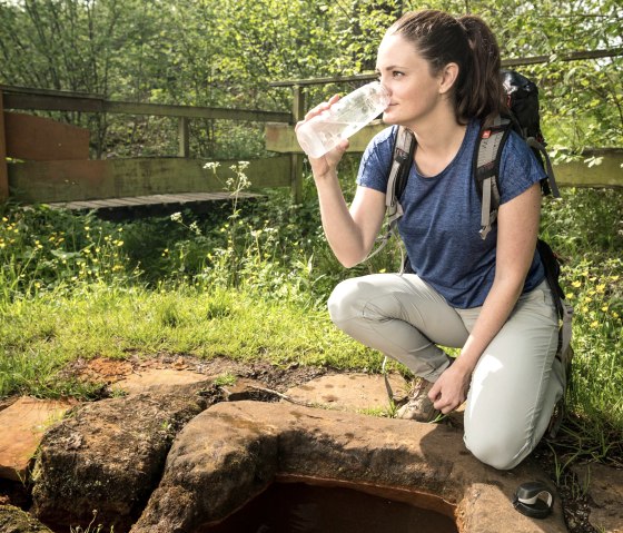 Steffelner Drees, © Eifel Tourismus GmbH, Dominik Ketz Steffelner Drees, © Eifel Tourismus GmbH, Dominik Ketz