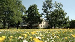 Außenansicht Nells Park Außenansicht Nells Park