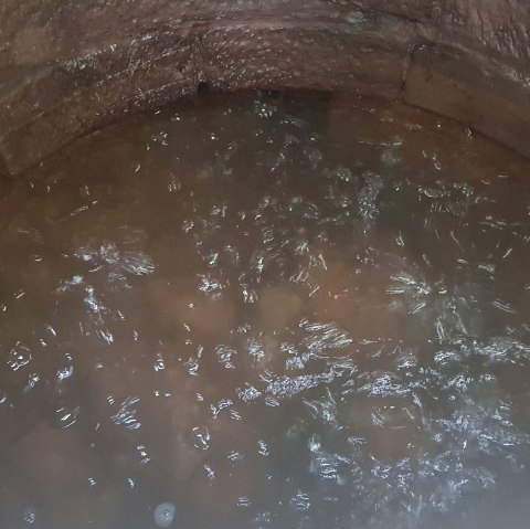 Blubbernde Victoriaquelle, © Tourist Information Wittlich Stadt & Land Blubbernde Victoriaquelle, © Tourist Information Wittlich Stadt & Land