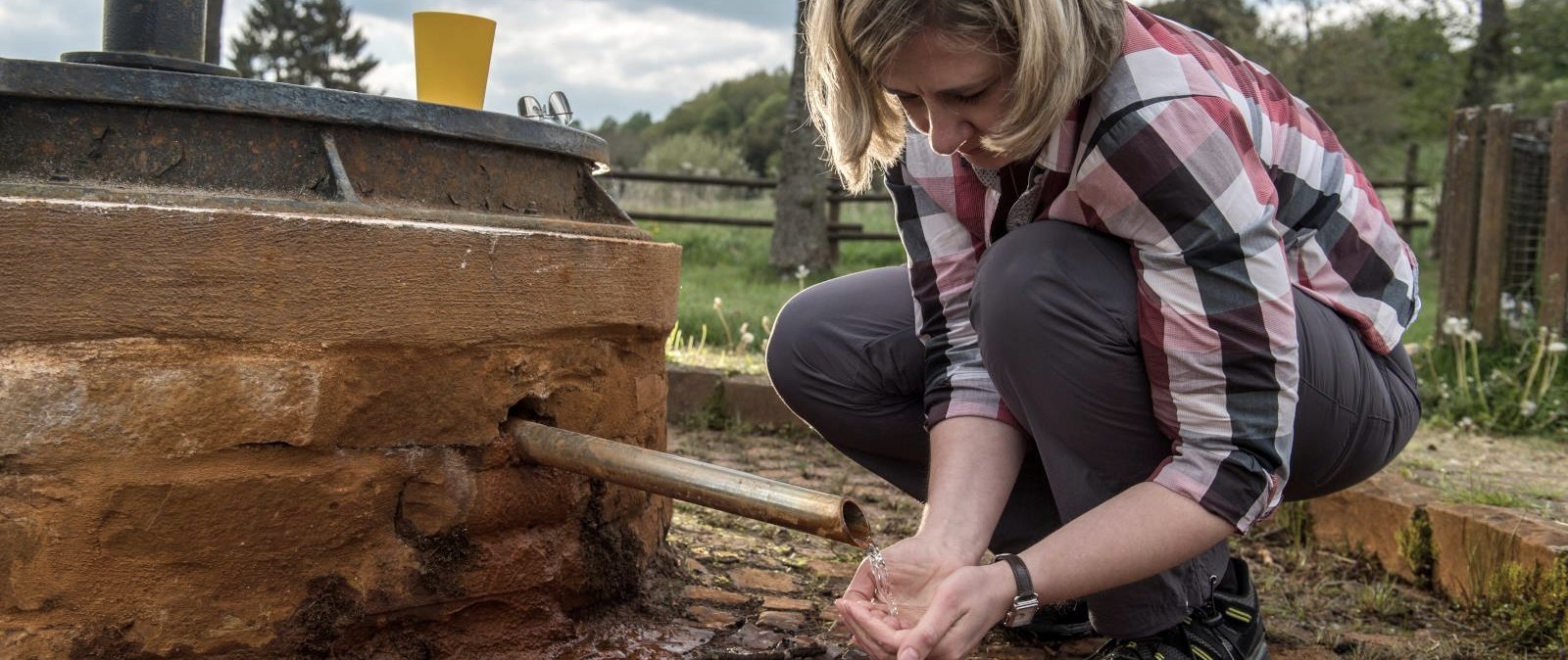 Der Rengener Drees, © Natur- und Geopark Vulkaneifel GmbH Der Rengener Drees, © Natur- und Geopark Vulkaneifel GmbH