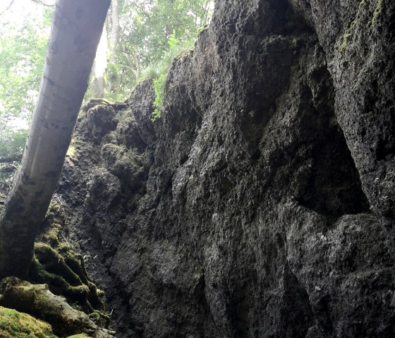 Basaltgestein, © GesundLand Vulkaneifel Basaltgestein, © GesundLand Vulkaneifel
