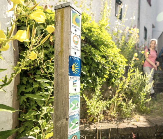 Wegweiser mit Wanderrouten in Blankenheim, umgeben von gelben Blumen. Zwei Personen wandern im Hintergrund., © Eifel Tourismus GmbH, Dominik Ketz Wegweiser mit Wanderrouten in Blankenheim, umgeben von gelben Blumen. Zwei Personen wandern im Hintergrund., © Eifel Tourismus GmbH, Dominik Ketz