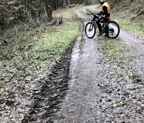 Radtour Vulkaneifel, © GesundLand Vulkaneifel GmbH Radtour Vulkaneifel, © GesundLand Vulkaneifel GmbH