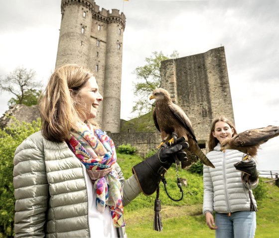 Greifvögel ganz nah, Adler- und Wolfspark, © Eifel Tourismus GmbH, Dominik Ketz Greifvögel ganz nah, Adler- und Wolfspark, © Eifel Tourismus GmbH, Dominik Ketz
