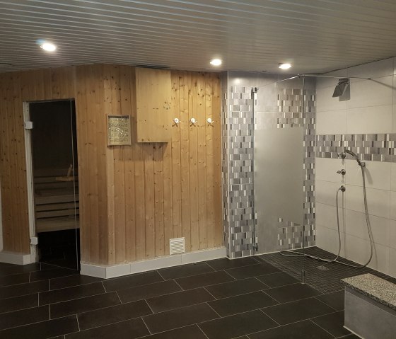 geräumige Sauna und Kaltdusche geräumige Sauna und Kaltdusche