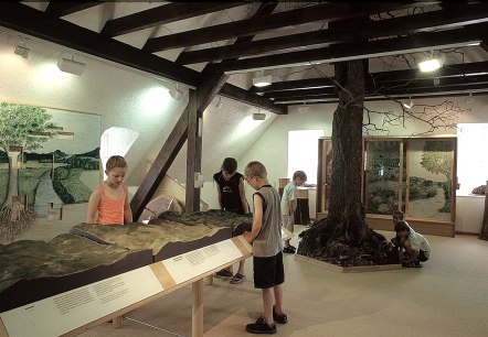 Innenansicht, © Touristik GmbH Gerolsteiner Land Innenansicht, © Touristik GmbH Gerolsteiner Land