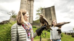Greifvögel ganz nah, Adler- und Wolfspark, © Eifel Tourismus GmbH, Dominik Ketz Greifvögel ganz nah, Adler- und Wolfspark, © Eifel Tourismus GmbH, Dominik Ketz