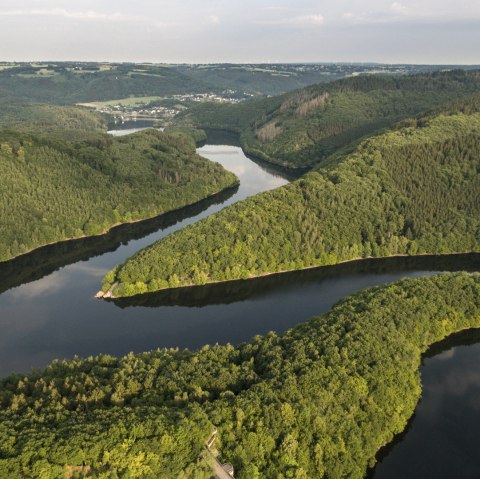 Die Wandertour Wasserlandroute führt immer am Wasser entlang, © Eifel Tourismus GmbH/D. Ketz Die Wandertour Wasserlandroute führt immer am Wasser entlang, © Eifel Tourismus GmbH/D. Ketz