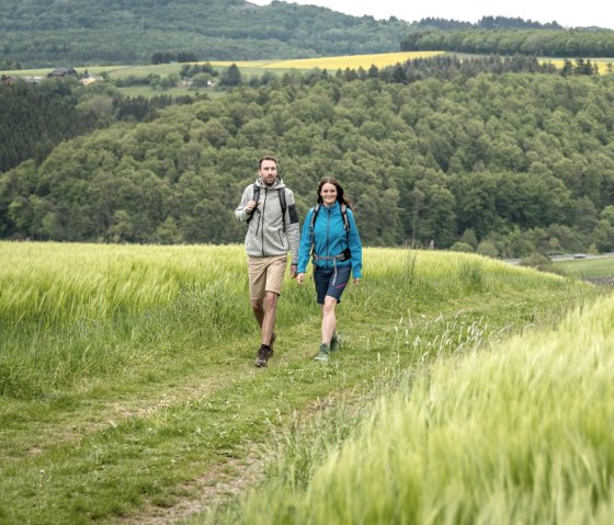 Hike through fields and meadows on the Hochkelberg Panorama Trail, © Eifel Tourismus GmbH, D. Ketz Hike through fields and meadows on the Hochkelberg Panorama Trail, © Eifel Tourismus GmbH, D. Ketz