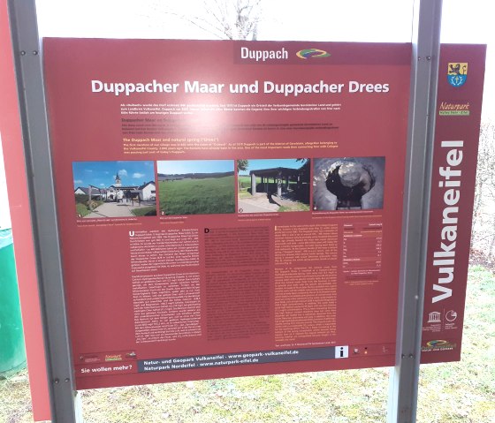 Infotafel Duppacher Maar und Duppacher Drees, © Touristik GmbH Gerolsteiner Land, Ute Klinkhammer Infotafel Duppacher Maar und Duppacher Drees, © Touristik GmbH Gerolsteiner Land, Ute Klinkhammer