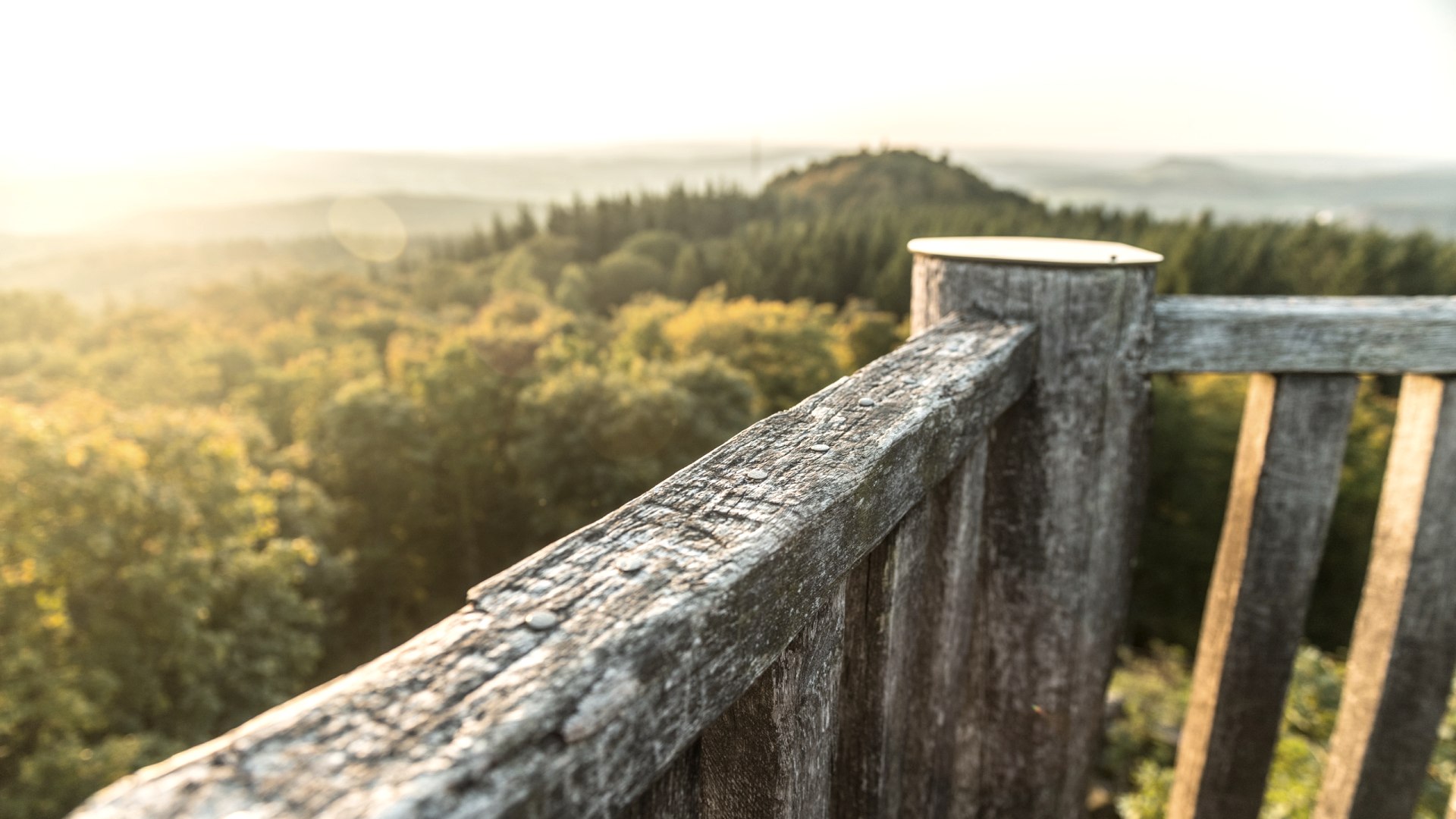 Dietzenley bei Gerolstein, © Eifel Tourismus GmbH, D. Ketz Dietzenley bei Gerolstein, © Eifel Tourismus GmbH, D. Ketz