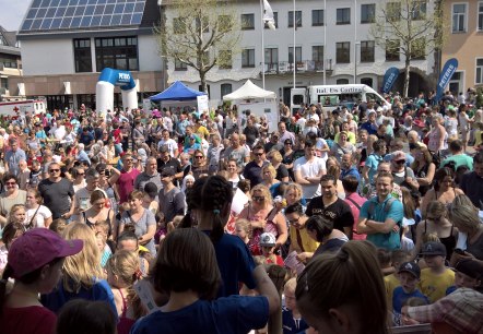 Chlodwiglauf, © TUS Zülpich Chlodwiglauf, © TUS Zülpich