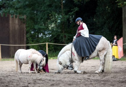 Vorführungen auf dem Herbstmarkt, © Mario Kaspers Vorführungen auf dem Herbstmarkt, © Mario Kaspers