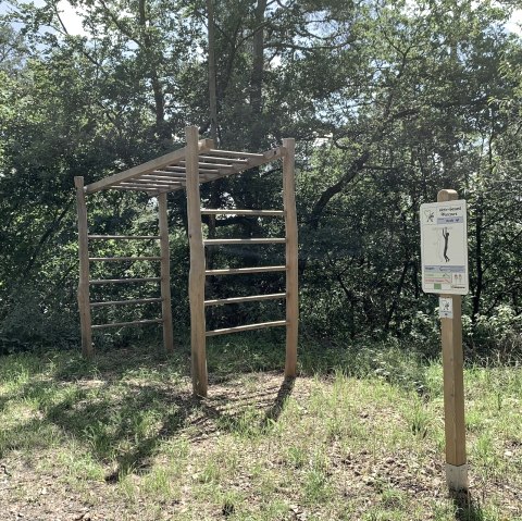 Parcours Hangelleiter, © GesundLand Vulkaneifel Parcours Hangelleiter, © GesundLand Vulkaneifel