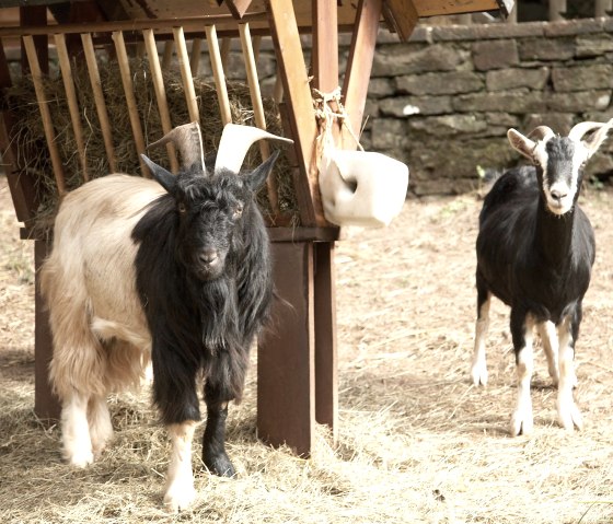 S373-041-06 S373-041-06