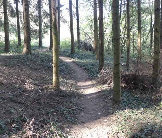 p1070761, © Nicole Zimmer p1070761, © Nicole Zimmer