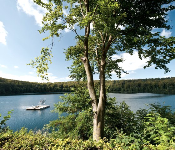 Ufer am Pulvermaar, © Eifel Tourismus GmbH, D. Ketz Ufer am Pulvermaar, © Eifel Tourismus GmbH, D. Ketz