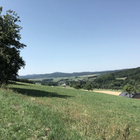 Panoramaaussicht in Richtung Nerdlen, © GesundLand Vulkaneifel Panoramaaussicht in Richtung Nerdlen, © GesundLand Vulkaneifel