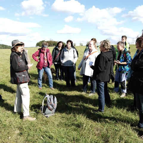 Gruppe auf Eifelkrimi-Wanderweg, © Nebel Gruppe auf Eifelkrimi-Wanderweg, © Nebel