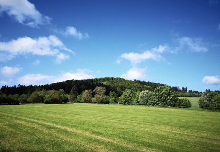 Aussicht vom Ernstberg, © GesundLand Vulkaneifel GmbH Aussicht vom Ernstberg, © GesundLand Vulkaneifel GmbH