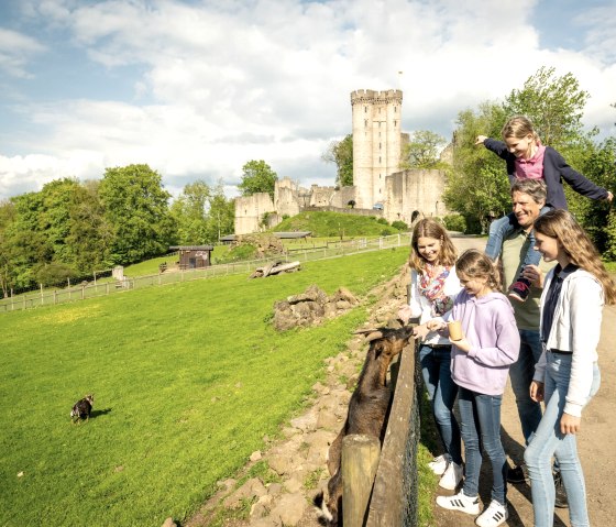 Streicheltiere im Adler- und Wolfspark, © Eifel Tourismus GmbH, Dominik Ketz Streicheltiere im Adler- und Wolfspark, © Eifel Tourismus GmbH, Dominik Ketz