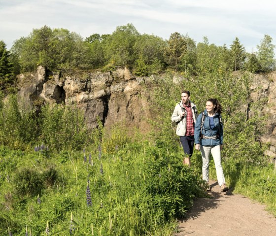 Hiking through the Steffelnkopf on the volcano trail, © Eifel Tourismus GmbH, D. Ketz Hiking through the Steffelnkopf on the volcano trail, © Eifel Tourismus GmbH, D. Ketz