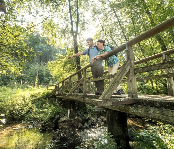 Brücke über den Üssbach am Wanderweg Maare und Thermenpfad, © Eifel Tourismus GmbH, D. Ketz Brücke über den Üssbach am Wanderweg Maare und Thermenpfad, © Eifel Tourismus GmbH, D. Ketz