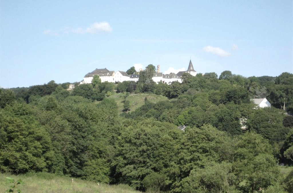 Dr. Axe Foundation Dr. Axe Foundation