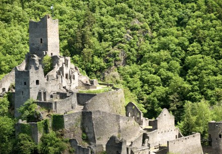 Wandelroute Manderscheider Burgenstieg: Kasteel Niederburg, © Rheinland-Pfalz Tourismus GmbH - D. Ketz Wandelroute Manderscheider Burgenstieg: Kasteel Niederburg, © Rheinland-Pfalz Tourismus GmbH - D. Ketz