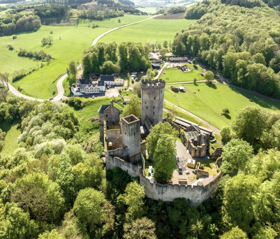 Adler- und Wolfspark mit Kasselburg, © Eifel Tourismus GmbH, Dominik Ketz Adler- und Wolfspark mit Kasselburg, © Eifel Tourismus GmbH, Dominik Ketz