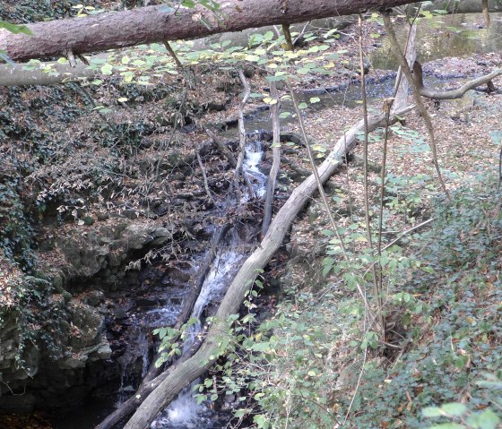 p1070796, © Nicole Zimmer p1070796, © Nicole Zimmer