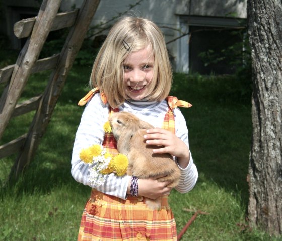 Gerberhaus... Gerberhaus...