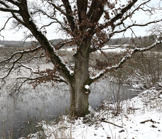 Mürmes im Winter, © Gerhard Saxler Mürmes im Winter, © Gerhard Saxler
