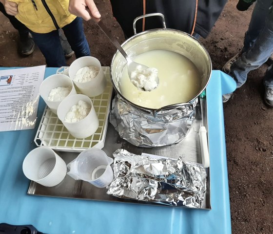 Maustüröffnertag Maustüröffnertag