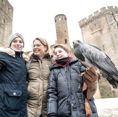 Kasselburg mit Gästen, © Eifel Tourismus GmbH, Dominik Ketz Kasselburg mit Gästen, © Eifel Tourismus GmbH, Dominik Ketz